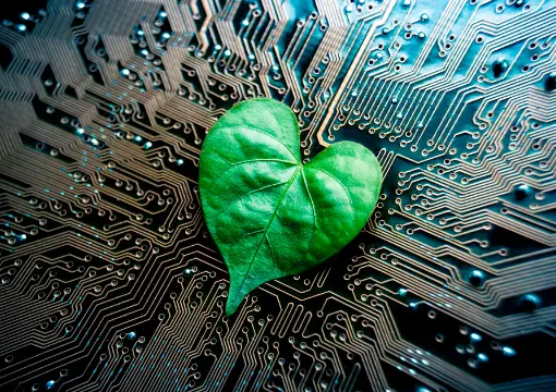 贝博体育官网案例